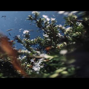 Meet your Posher, Jocelyn